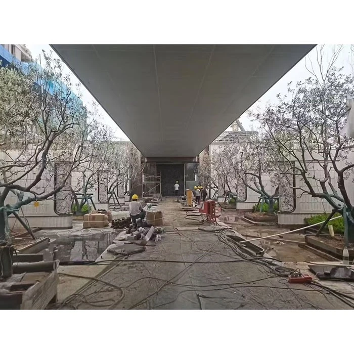 स्ट्रीट ओलिभ ट्री स्ट्रीट ओलिभ ट्री